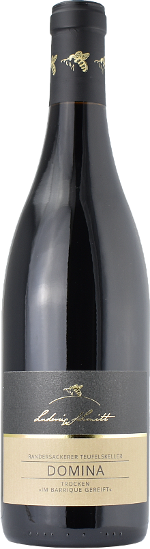 Domina trocken - Barrique 2022 – Flasche